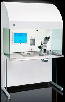 L124 IVF