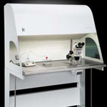 L423 IVF