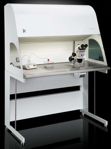 L424 IVF