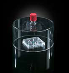 G101
